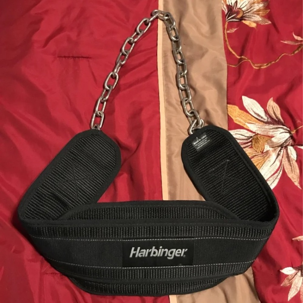 Harbinger dip belt
